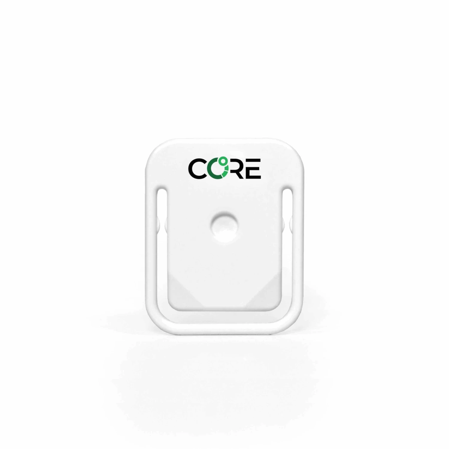Core Body Temperature Monitoring 1 Core Body Temperature Monitoring